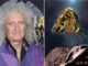 brian may new horizons