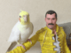 cacatua queen freddie mercury