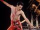 freddie mercury cuero queen